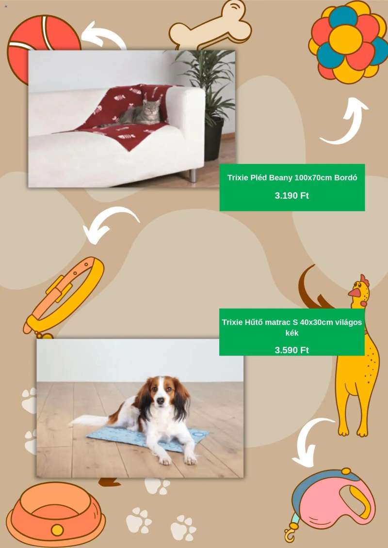 AlphaZoo Black Friday 3 oldal