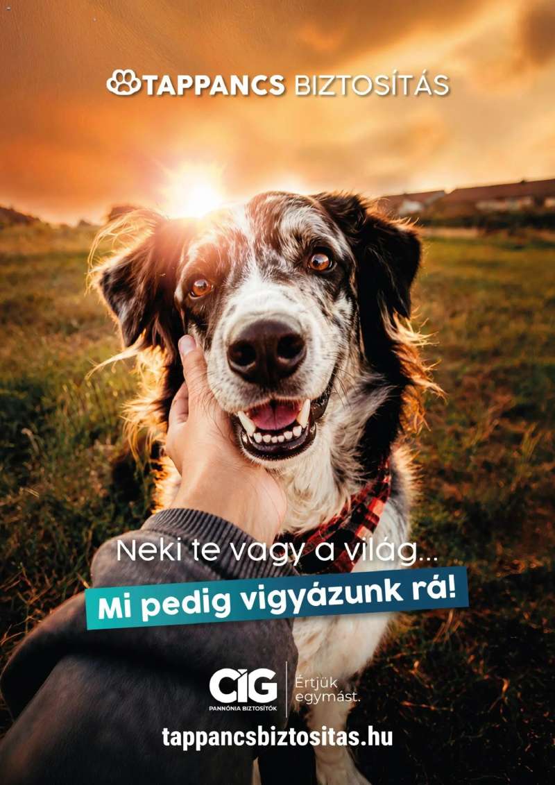AlphaZoo AlphaZoo akciós újság 15 oldal