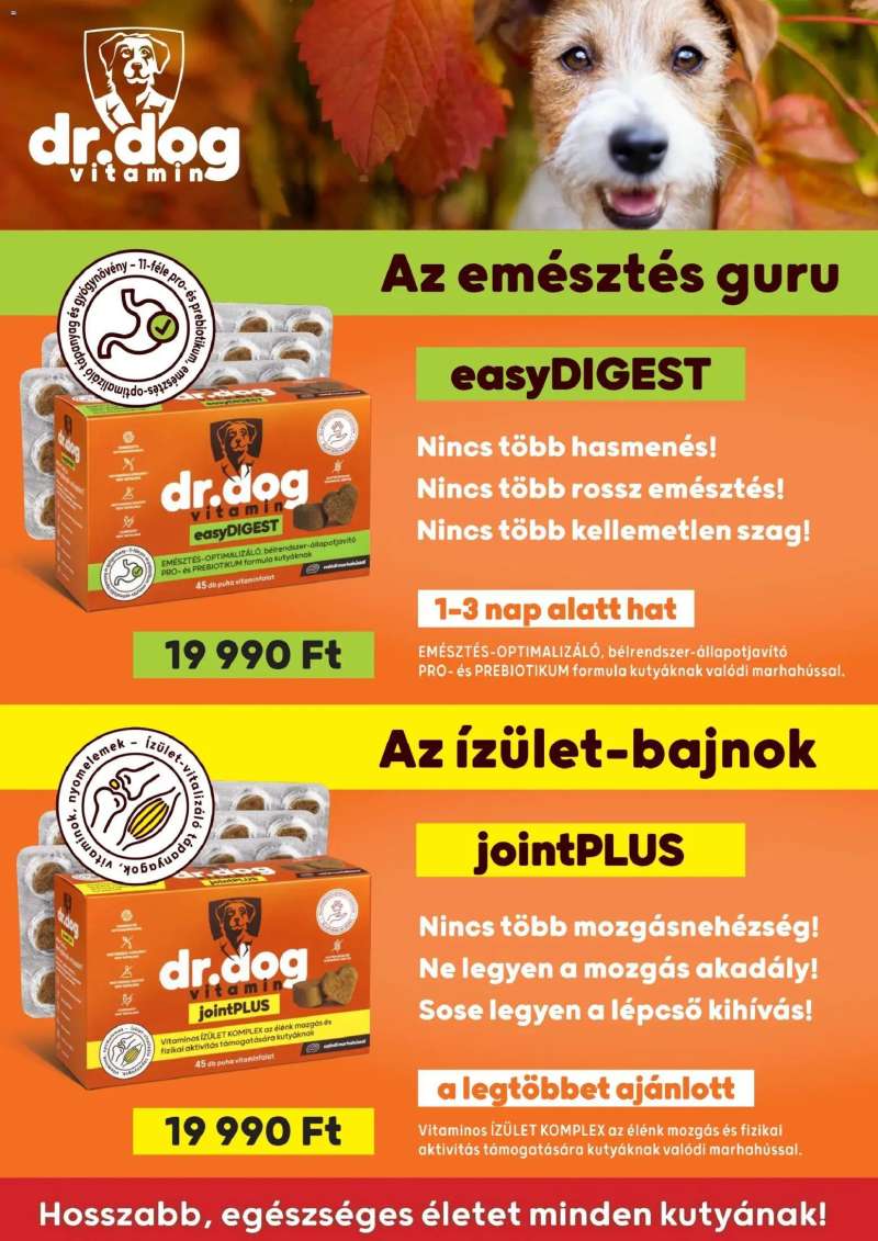 AlphaZoo AlphaZoo akciós újság 21 oldal