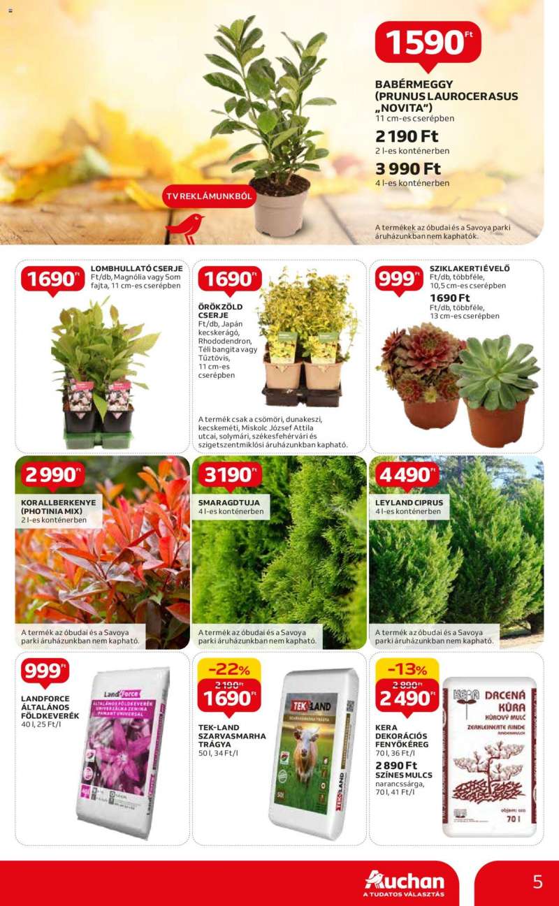 Auchan Auchan hipermarket őszi ajánlatok 5 oldal