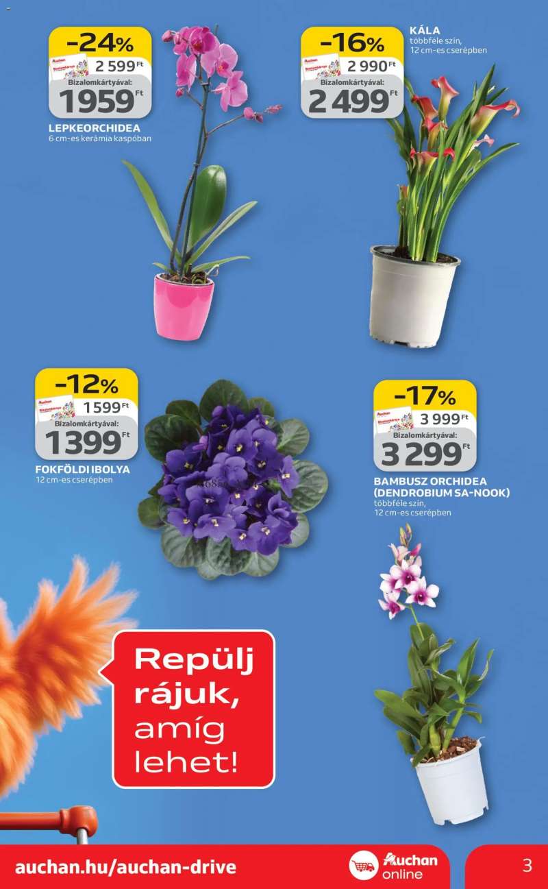 Auchan Szupermarket akciós újság 3 oldal