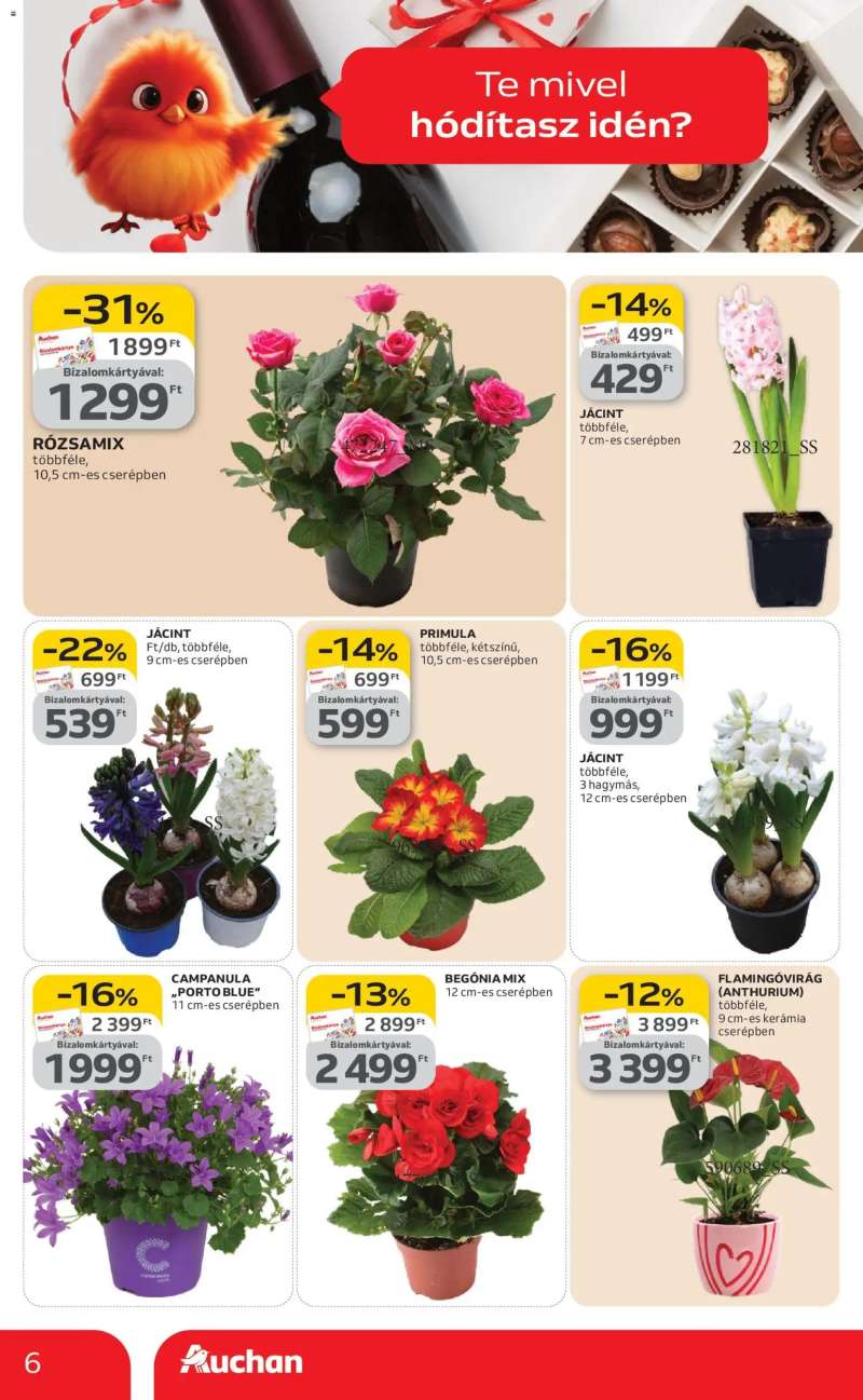 Auchan Valentin napi ajánlataink 6 oldal