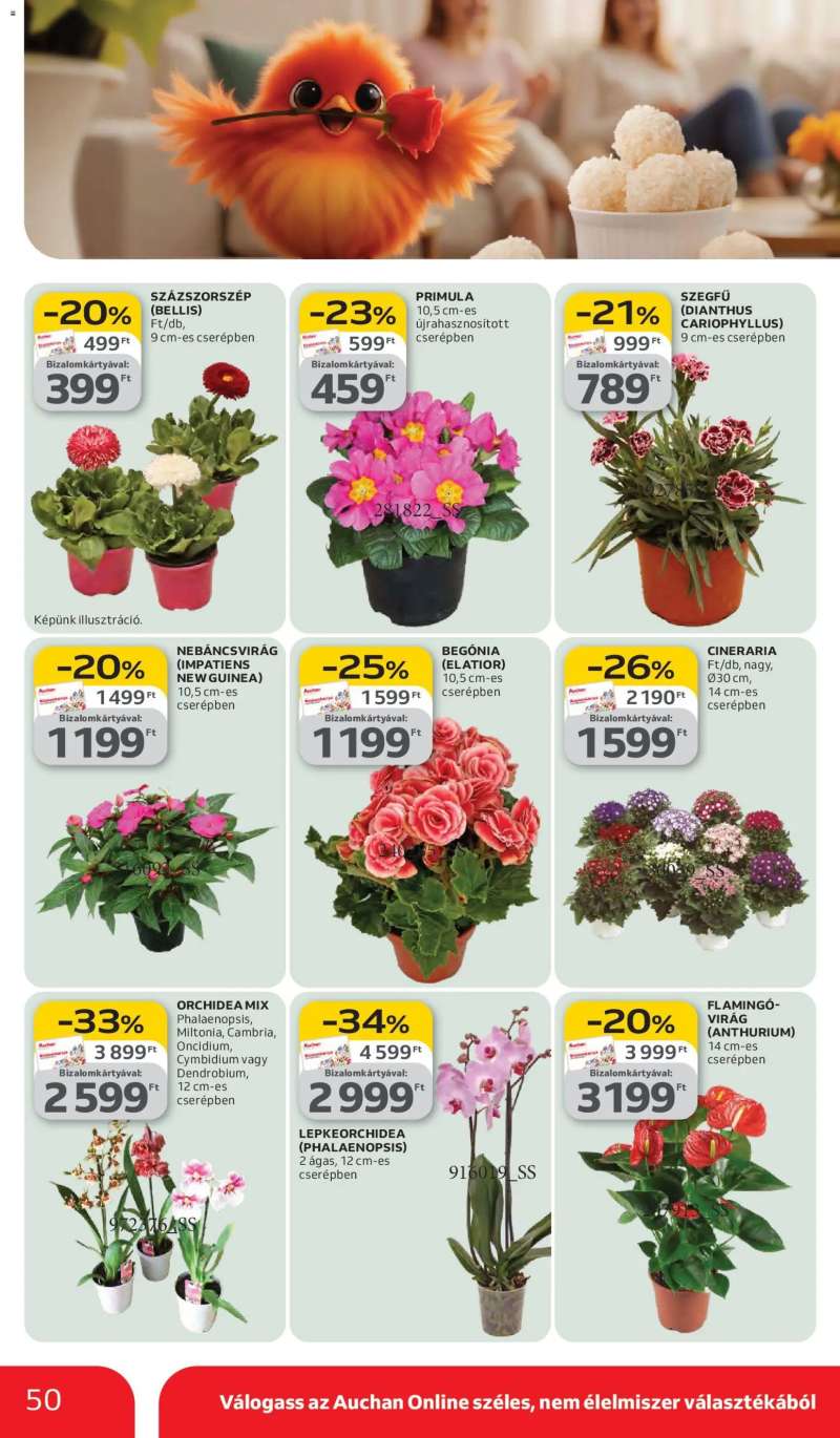 Auchan Auchan akciós újság 50 oldal