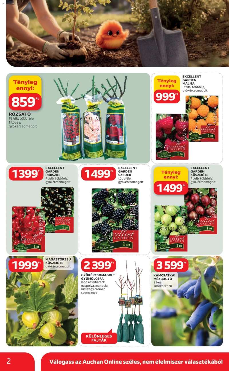 Auchan Auchan Ki a szabadba 2 oldal