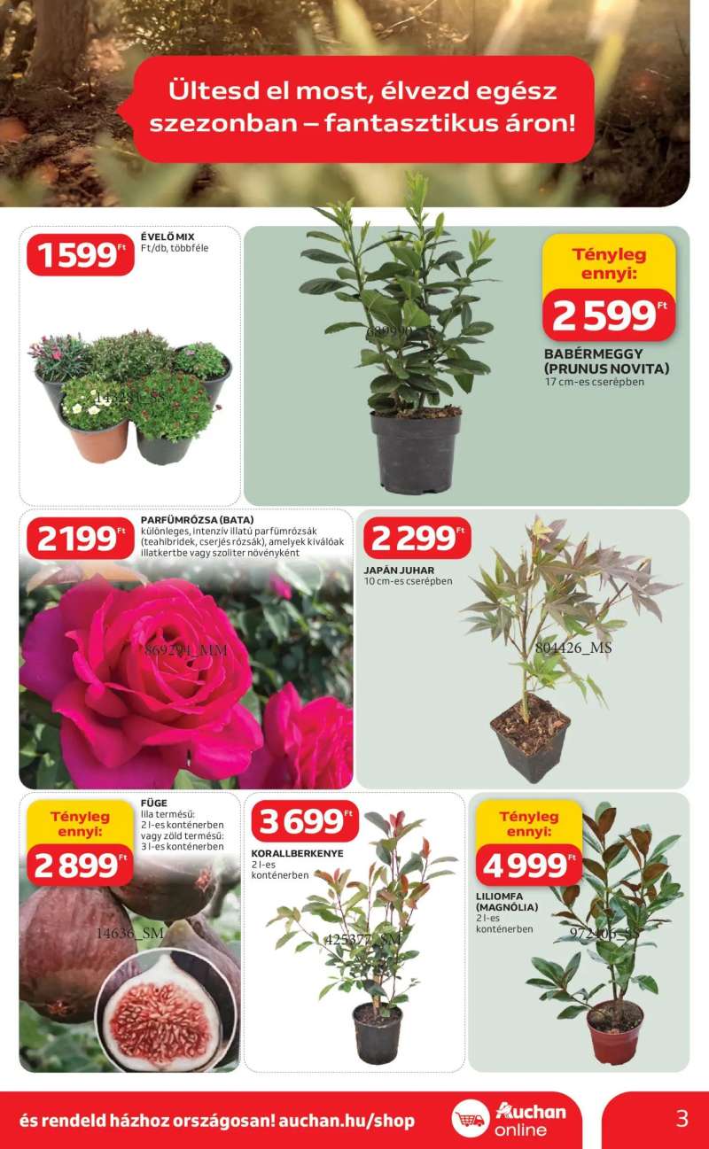 Auchan Auchan Ki a szabadba 3 oldal