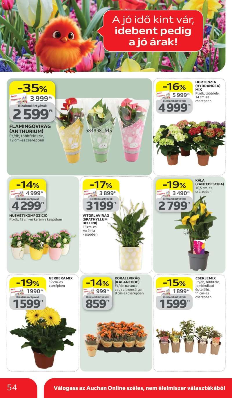 Auchan Auchan akciós újság 54 oldal