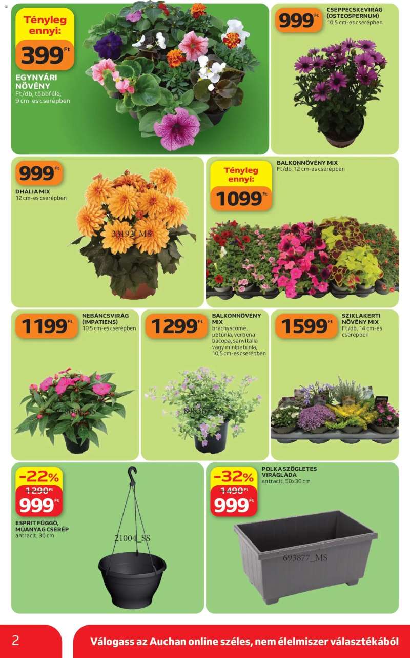 Auchan Auchan Kertészet és Szabadidő 2 oldal