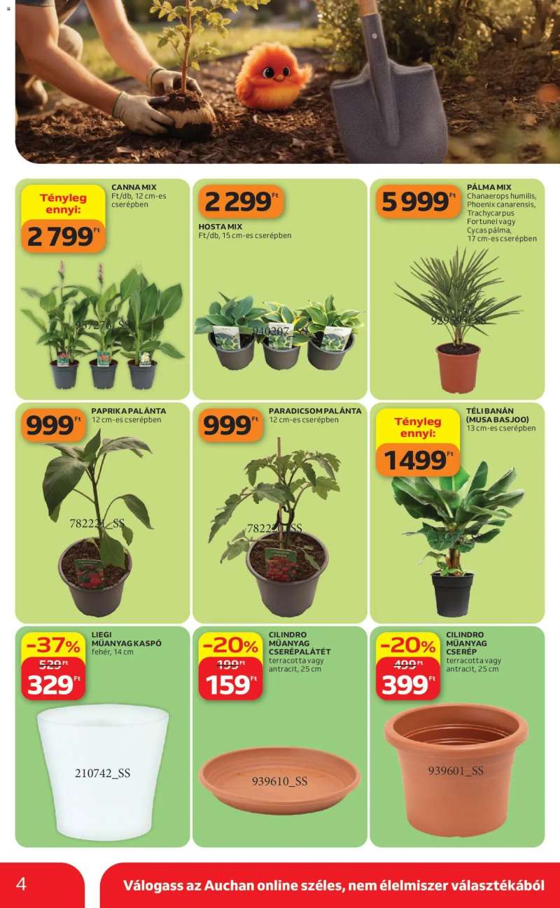 Auchan Auchan Kertészet és Szabadidő 4 oldal