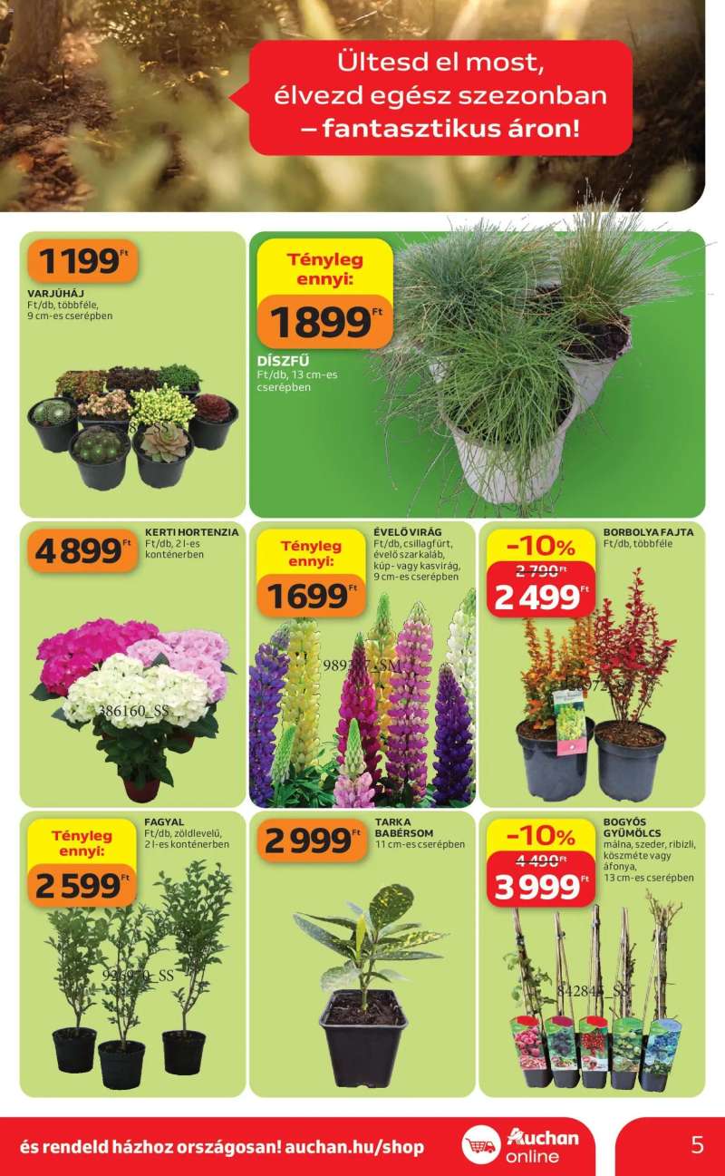 Auchan Auchan Kertészet és Szabadidő 5 oldal