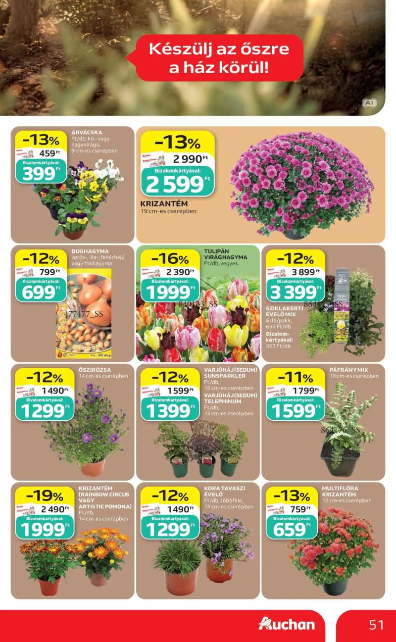Auchan Auchan akciós újság 51 oldal