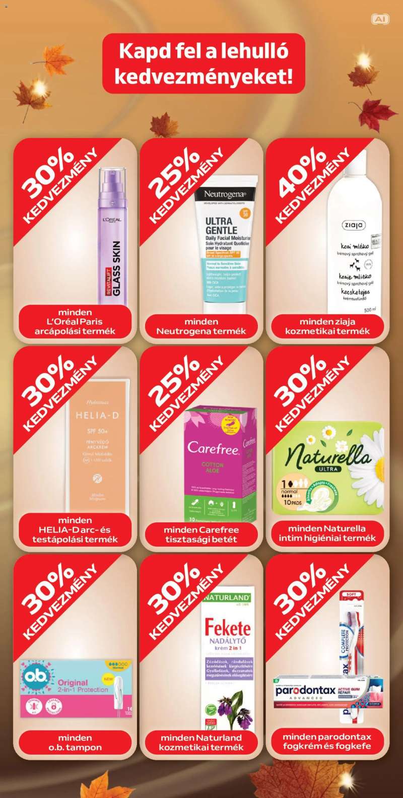 Auchan Auchan Őszi kuponnapok 5 oldal