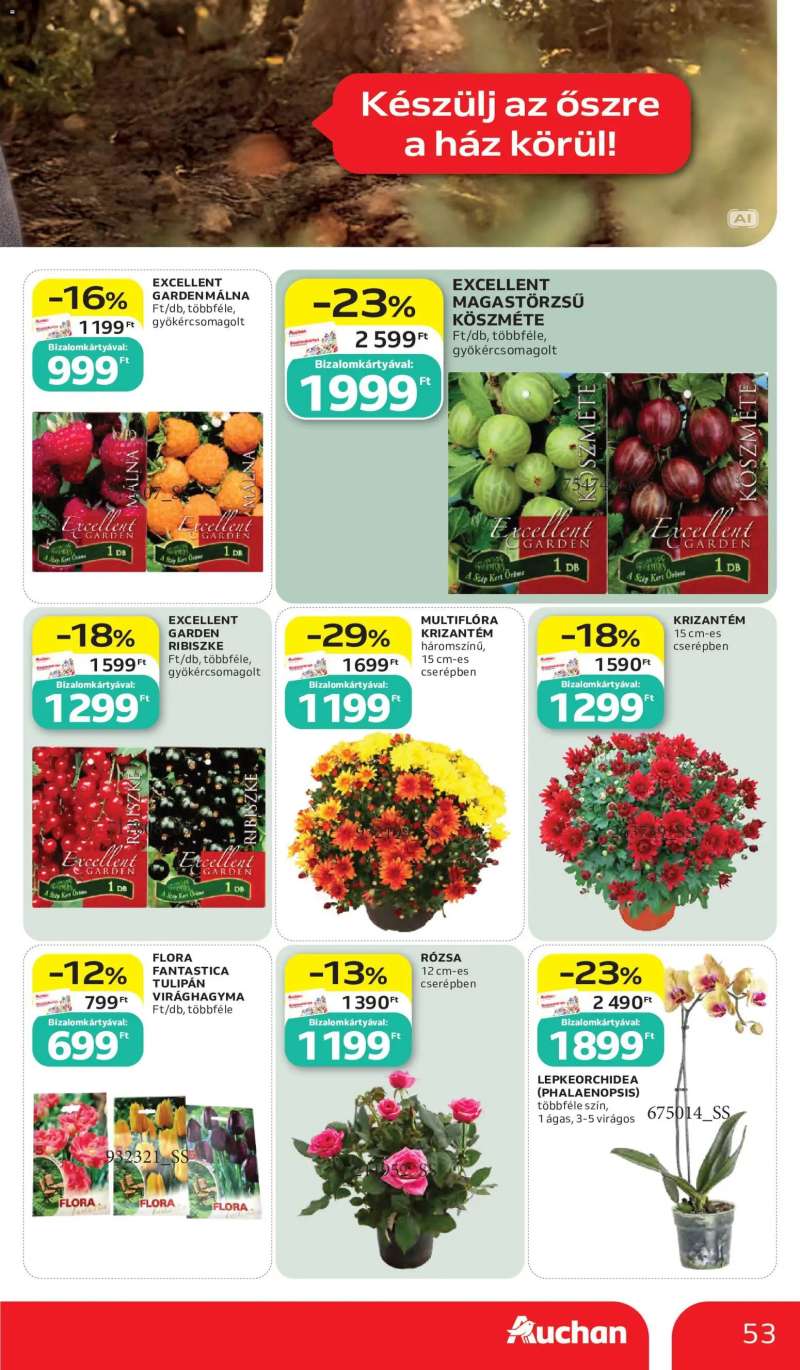 Auchan Auchan akciós újság 53 oldal