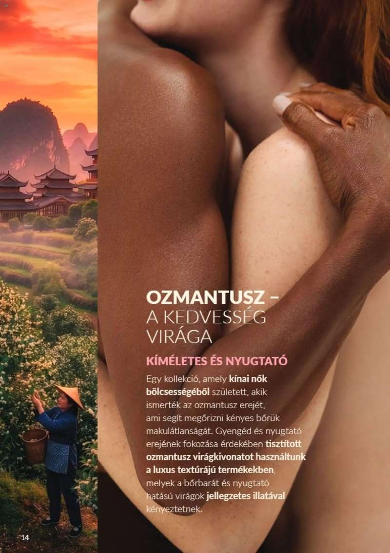Avon AVON online katalógus 2026 októberi 14 oldal