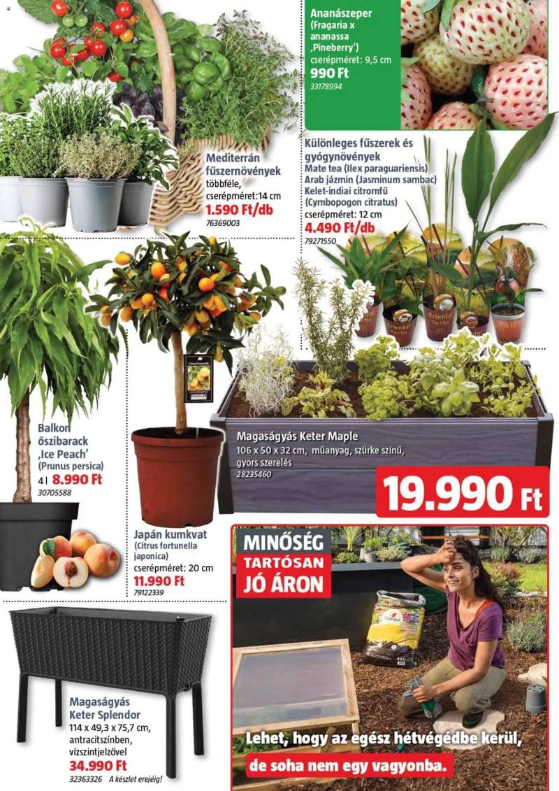 Bauhaus Bauhaus akciós újság 4 oldal