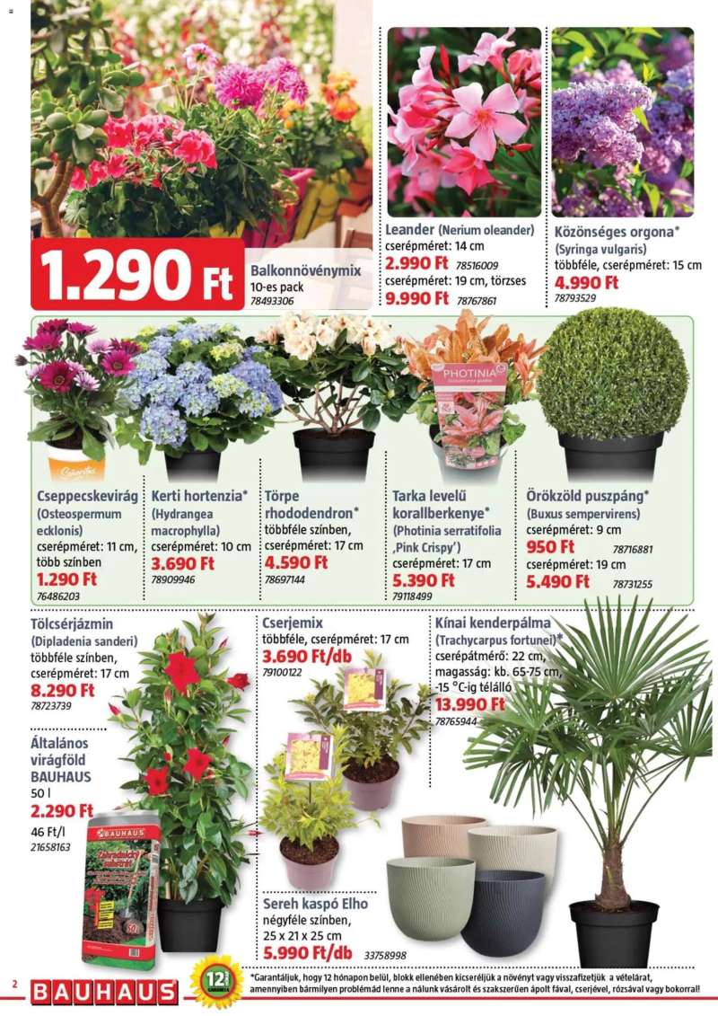 Bauhaus Bauhaus szórólap 2 oldal