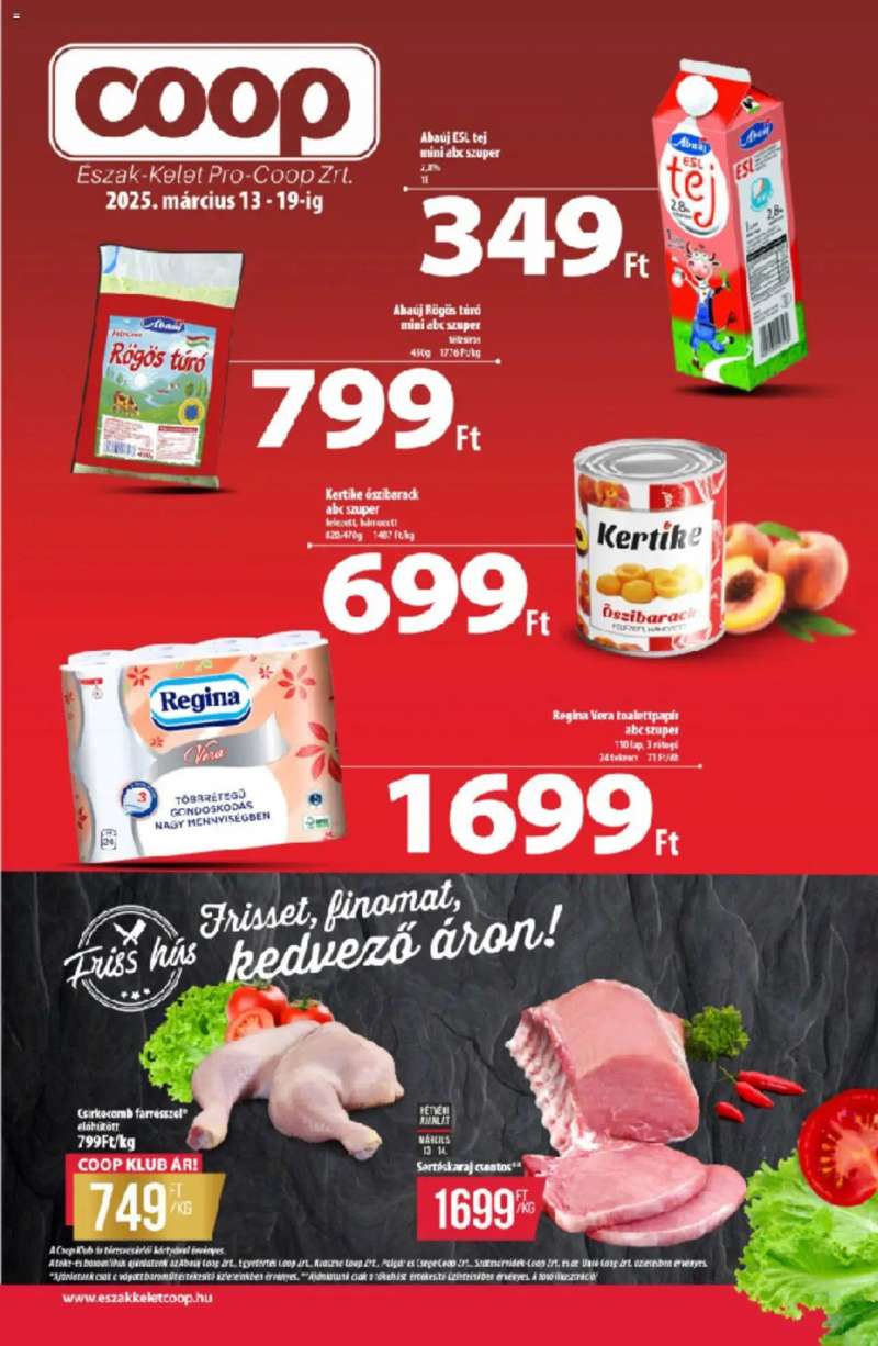 COOP Észak Kelet Pro-Coop Zrt 1 oldal