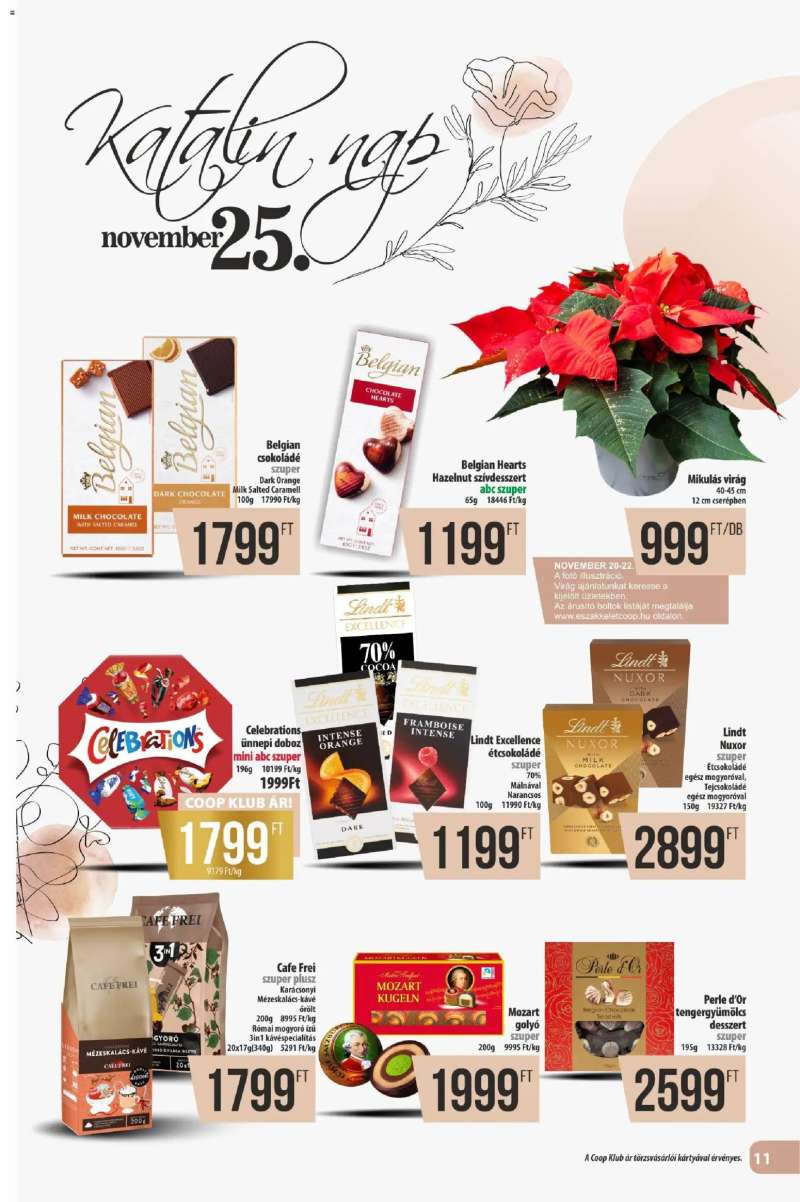 COOP Észak Kelet Pro-Coop Zrt 11 oldal