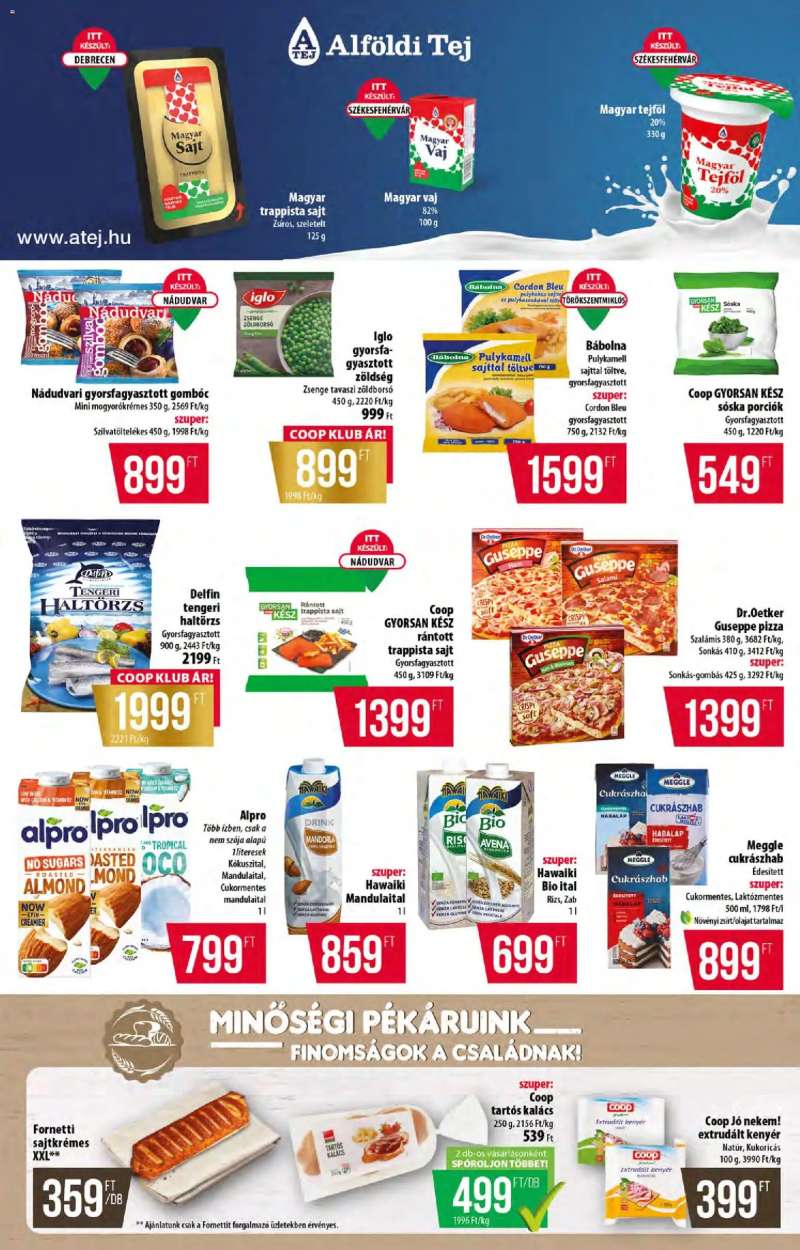 COOP Észak Kelet Pro-Coop Zrt 3 oldal