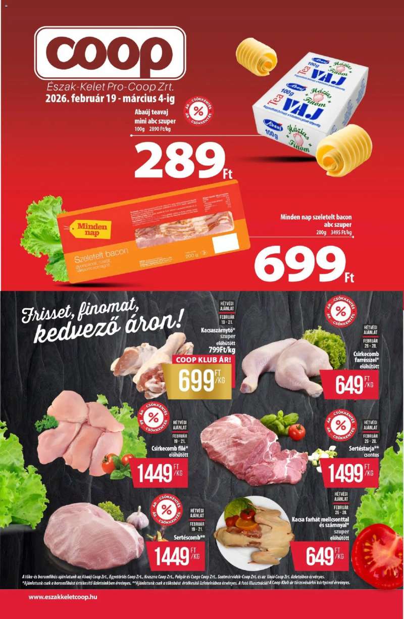 COOP Észak Kelet Pro-Coop Zrt 1 oldal