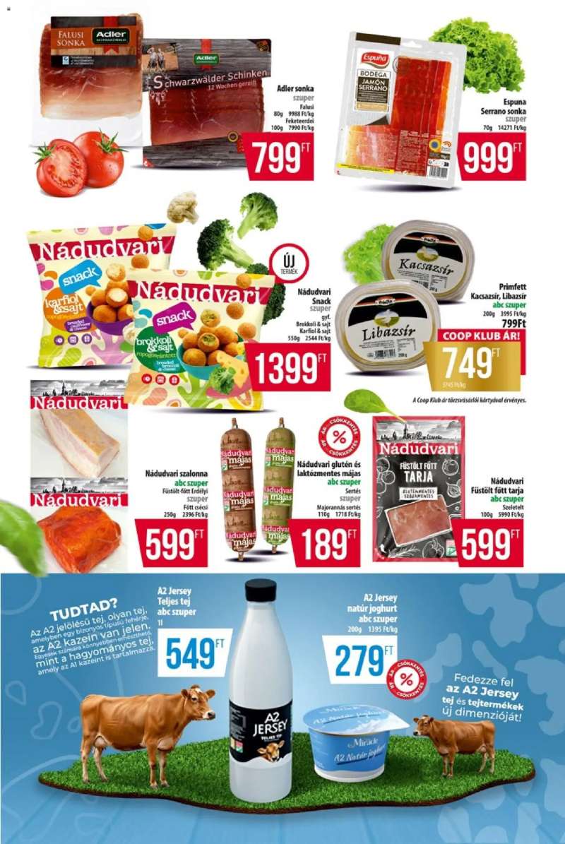 COOP COOP - Újság Észak Kelet Pro-Coop Zrt 3 oldal