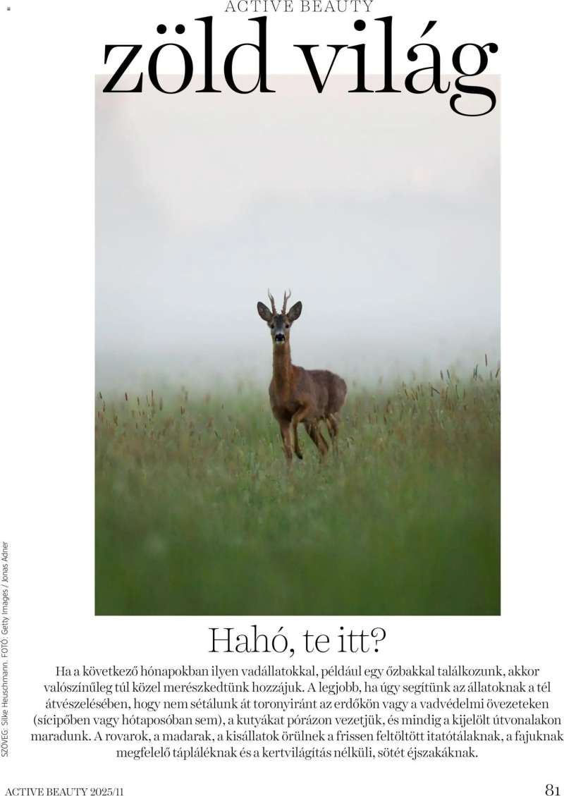 DM Drogerie Markt Active Beauty 2025/11 81 oldal