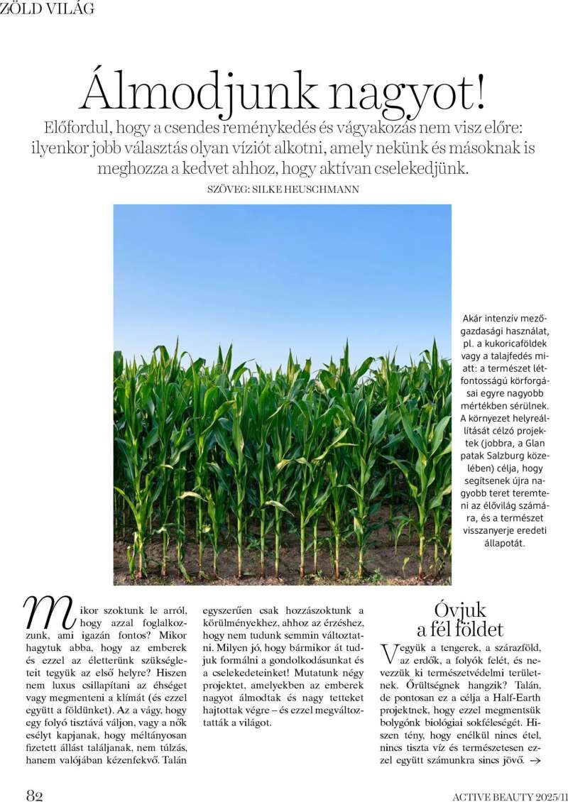 DM Drogerie Markt Active Beauty 2025/11 82 oldal