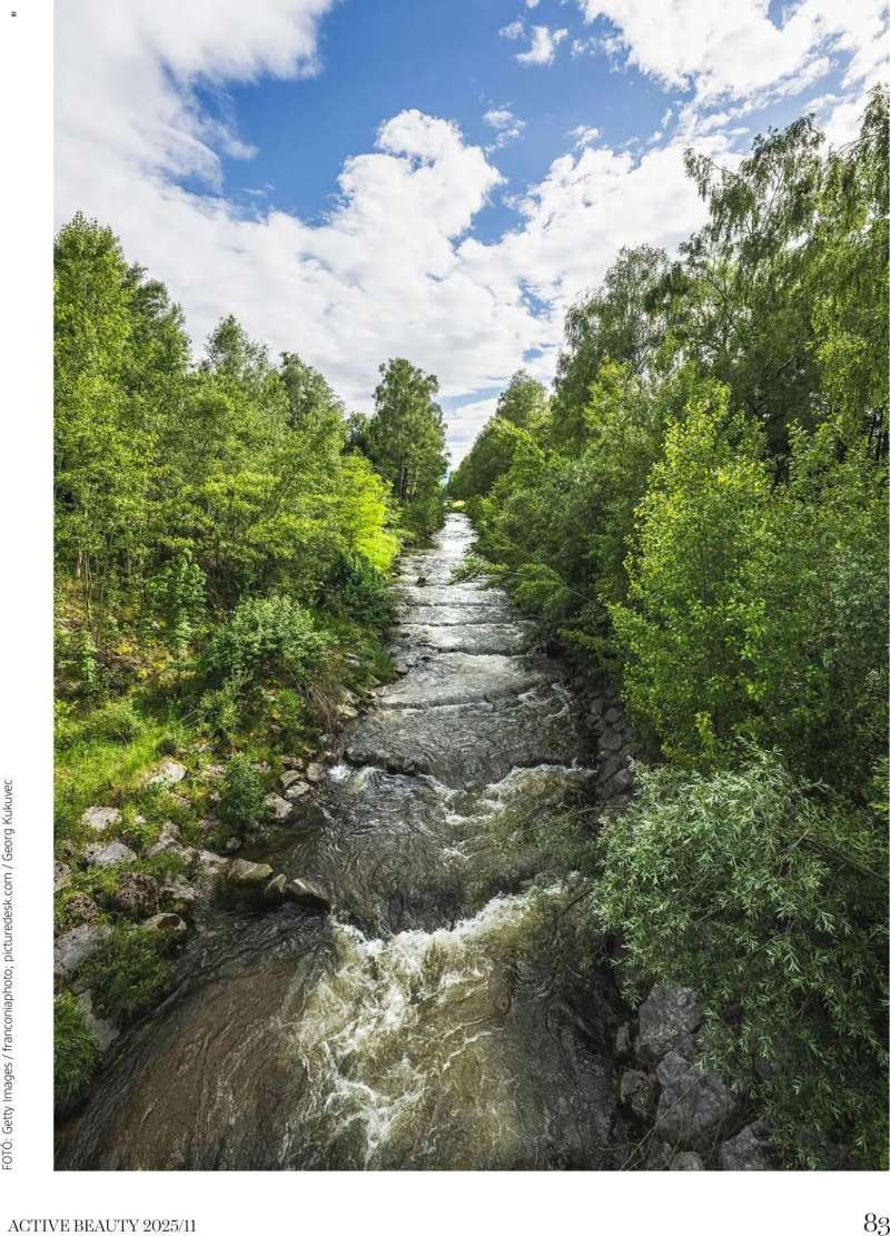 DM Drogerie Markt Active Beauty 2025/11 83 oldal