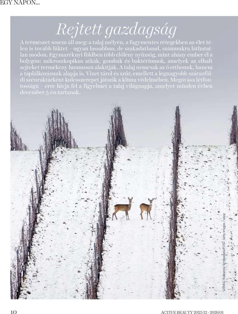 DM Drogerie Markt Active Beauty 2025/12-2026/01 10 oldal