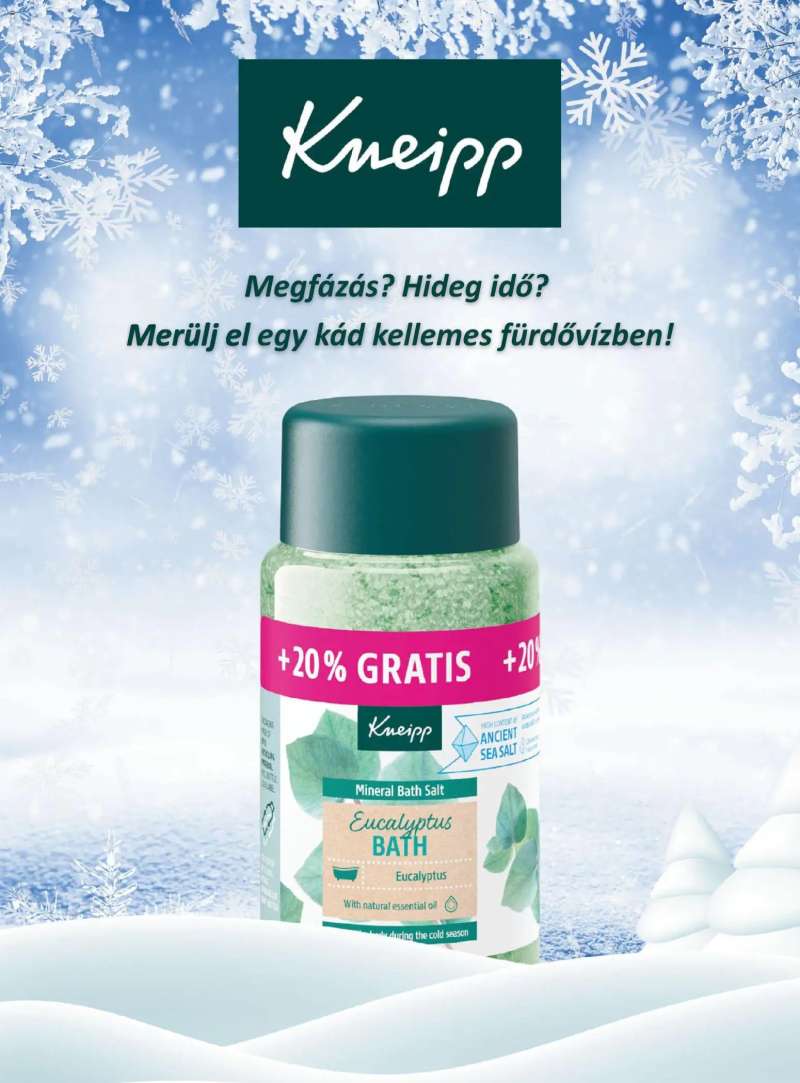 DM Drogerie Markt Active Beauty 2025/12-2026/01 17 oldal