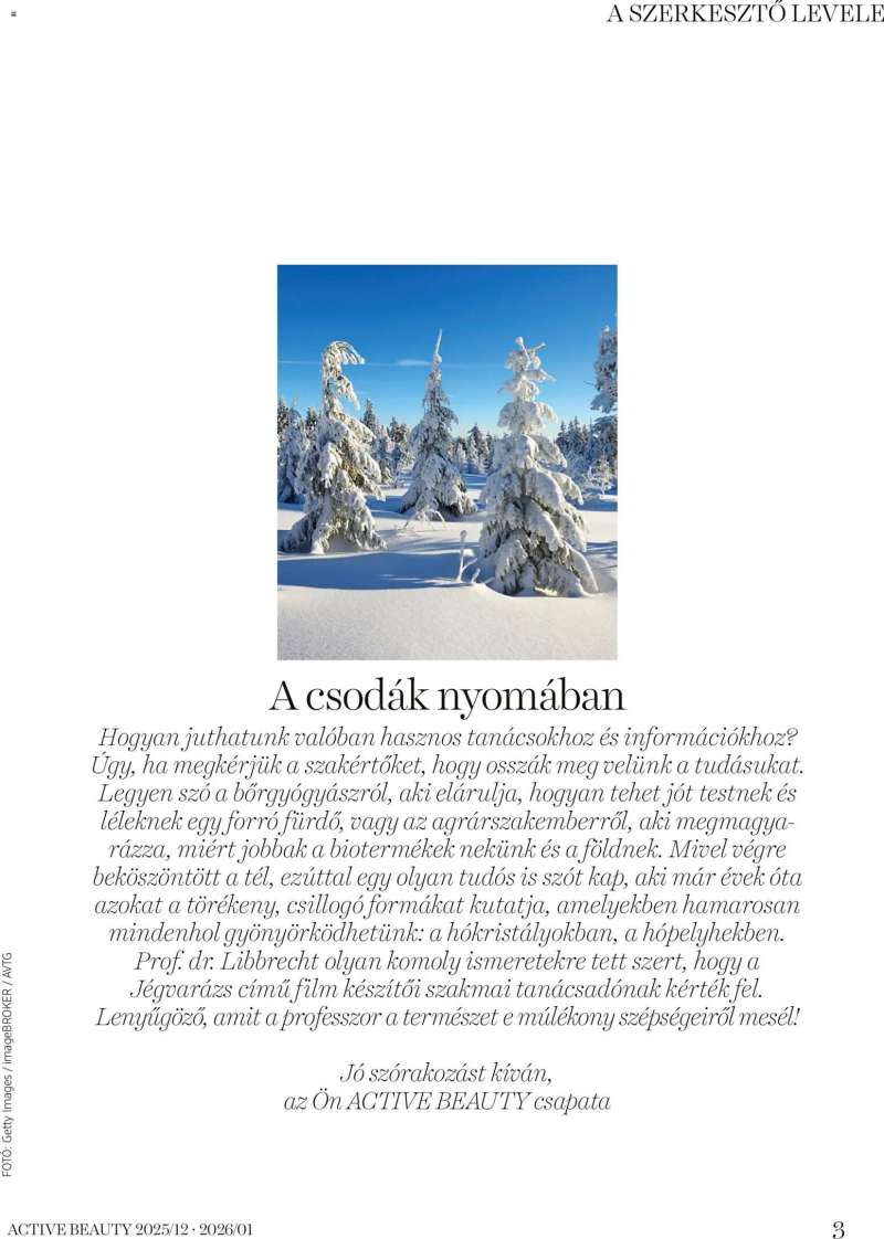 DM Drogerie Markt Active Beauty 2025/12-2026/01 3 oldal