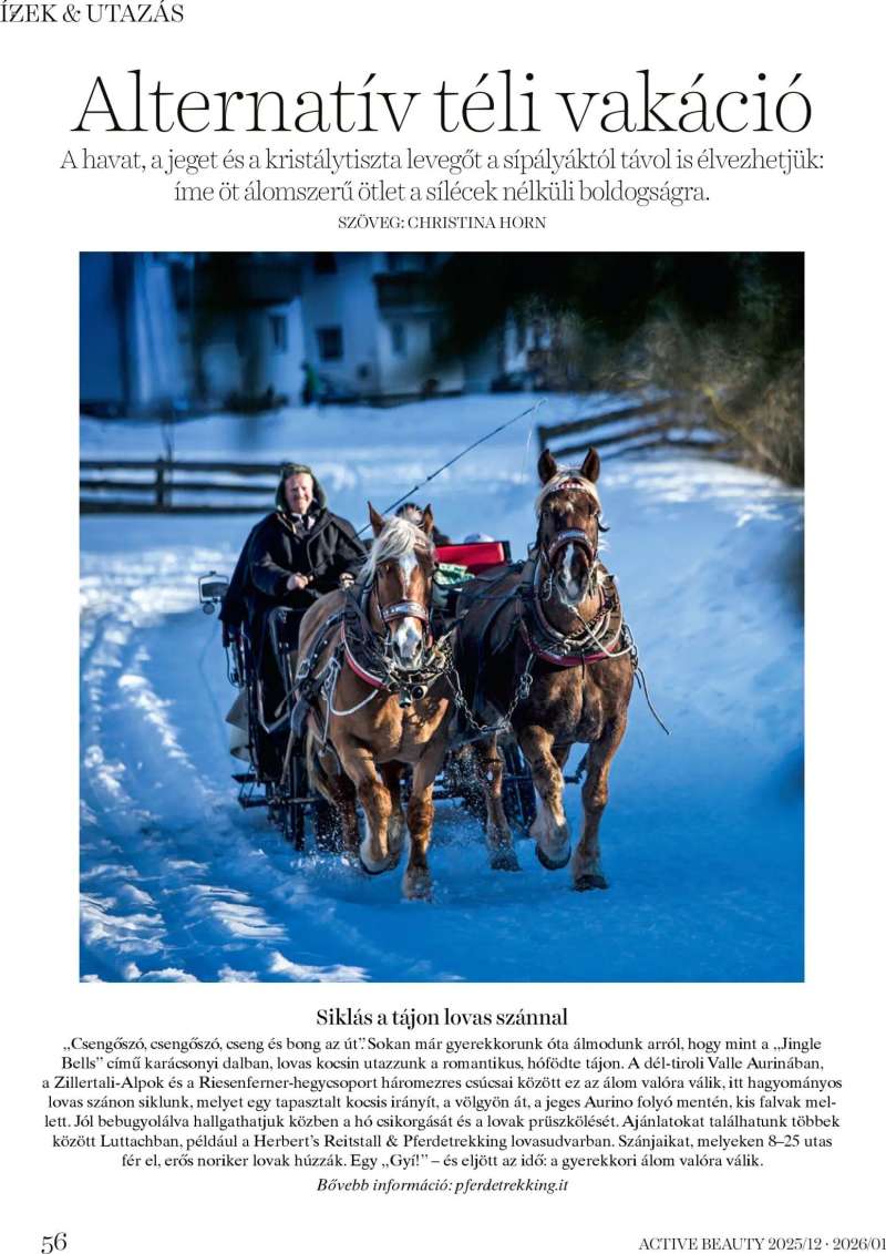 DM Drogerie Markt Active Beauty 2025/12-2026/01 56 oldal