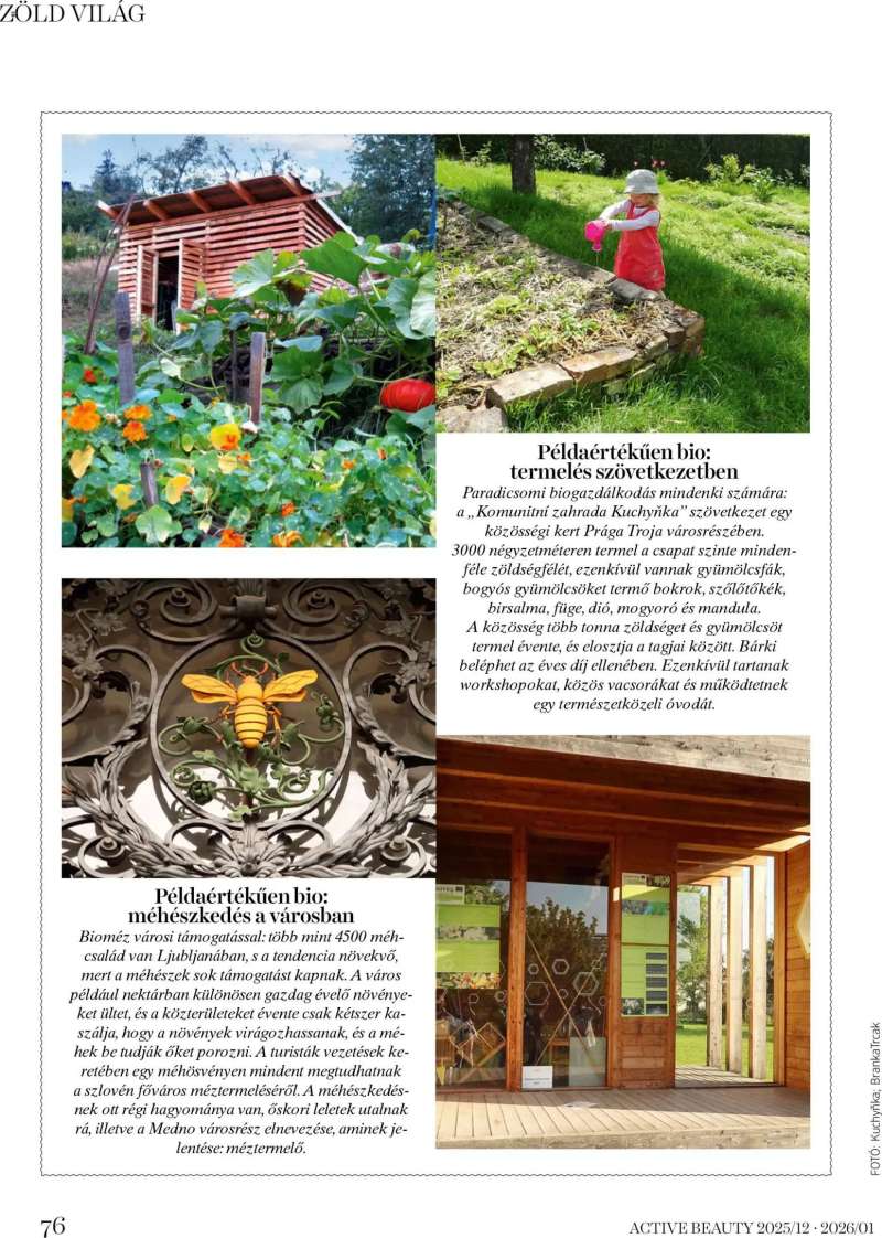 DM Drogerie Markt Active Beauty 2025/12-2026/01 76 oldal