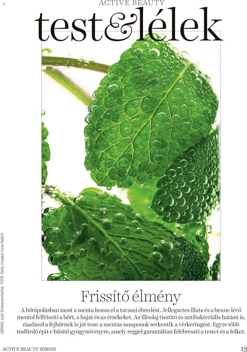 DM Drogerie Markt Active Beauty 2026/02 13 oldal