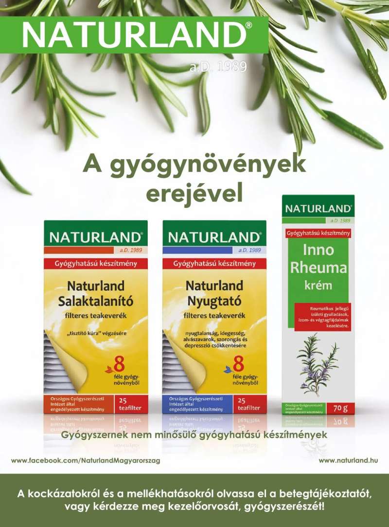 DM Drogerie Markt Active Beauty 2026/02 36 oldal