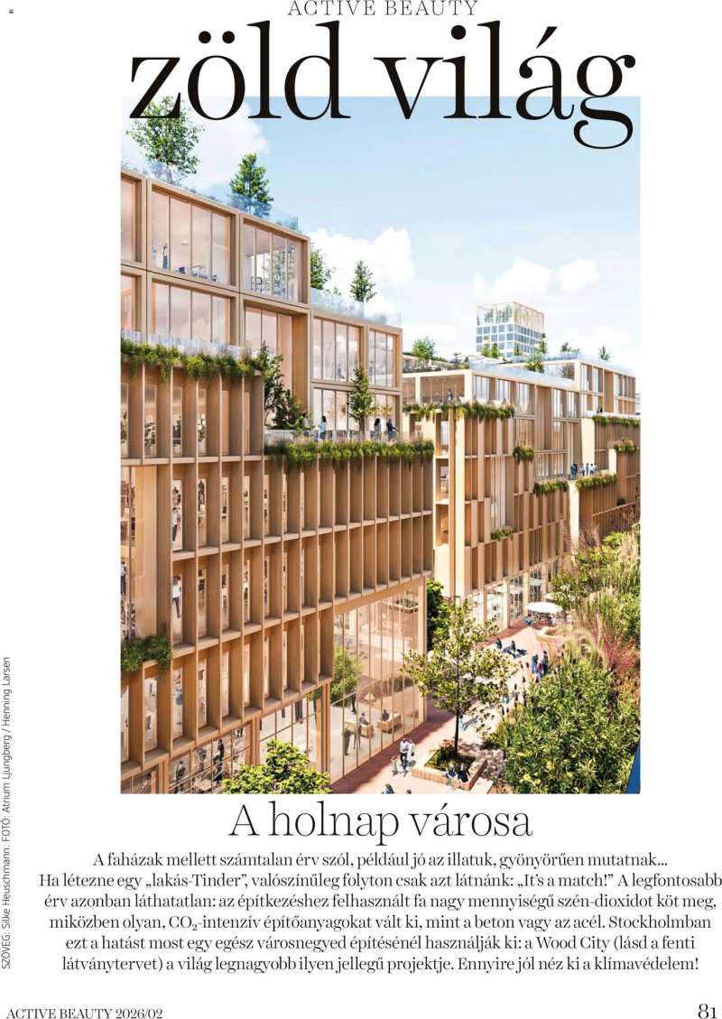 DM Drogerie Markt Active Beauty 2026/02 81 oldal