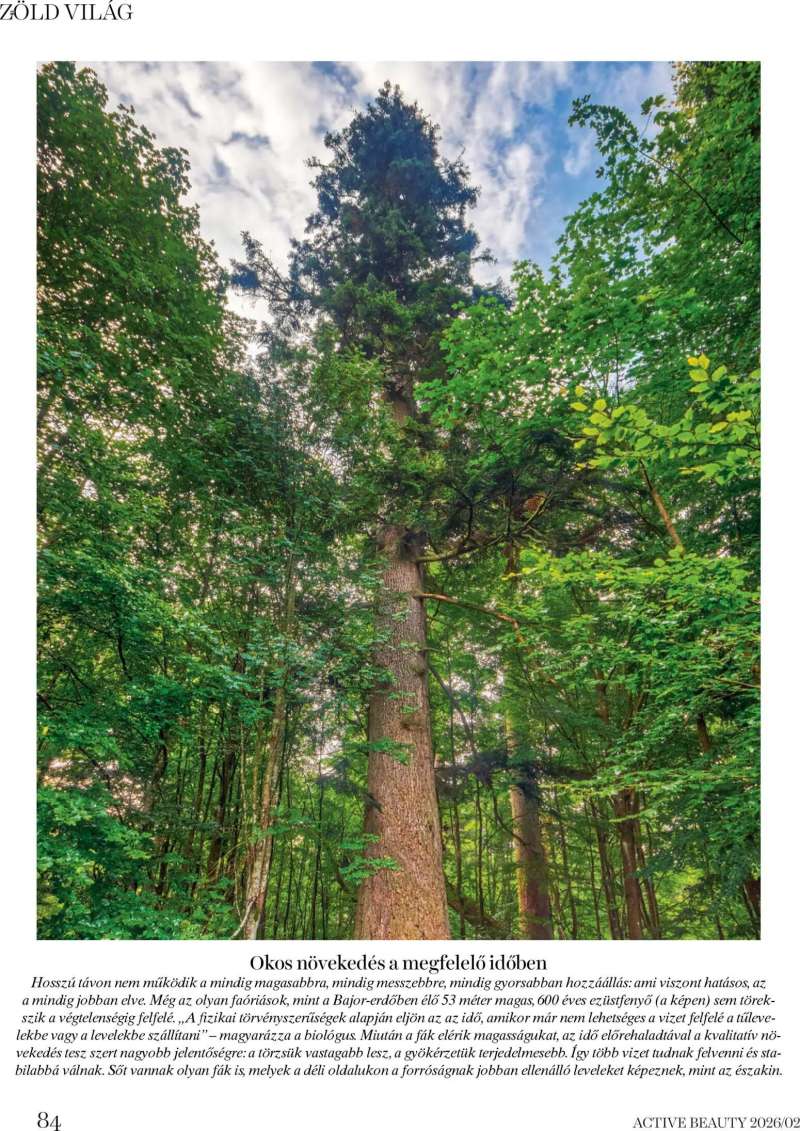 DM Drogerie Markt Active Beauty 2026/02 84 oldal