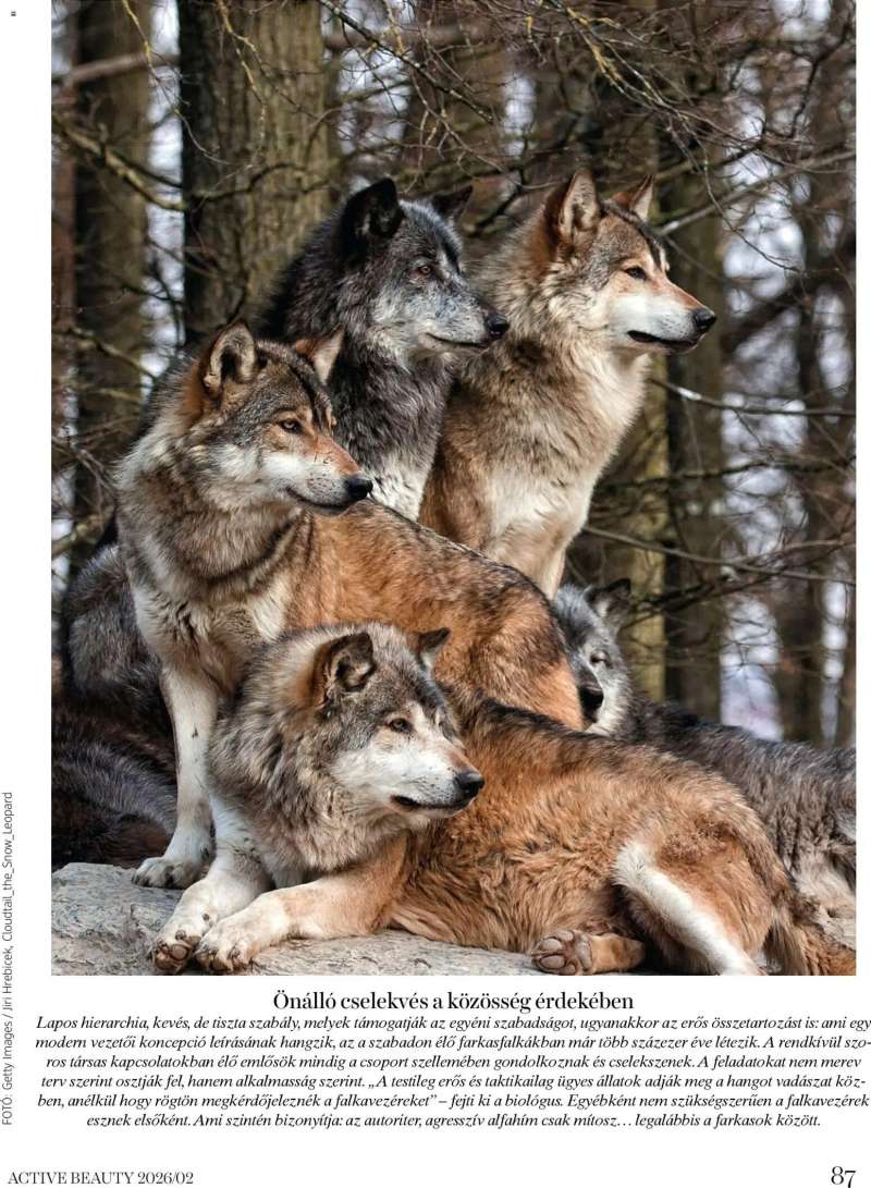 DM Drogerie Markt Active Beauty 2026/02 87 oldal