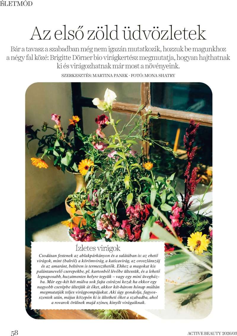 DM Drogerie Markt DM Drogerie Markt Active Beauty 2026/03 58 oldal