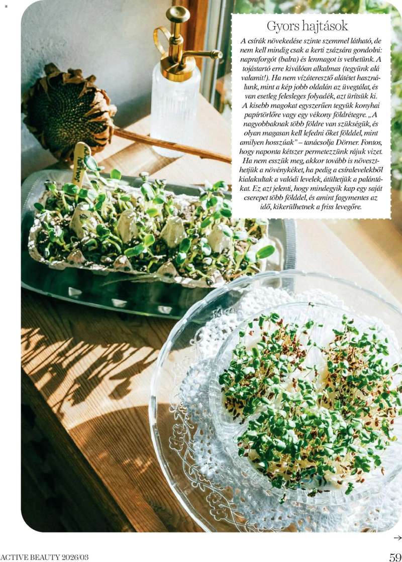 DM Drogerie Markt DM Drogerie Markt Active Beauty 2026/03 59 oldal