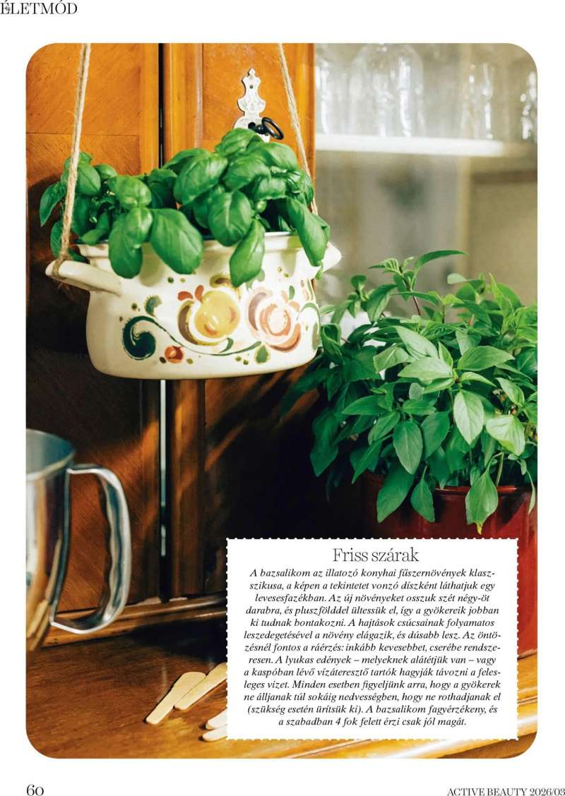 DM Drogerie Markt DM Drogerie Markt Active Beauty 2026/03 60 oldal