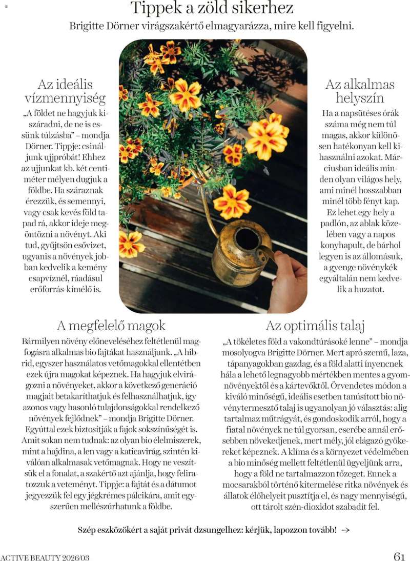 DM Drogerie Markt DM Drogerie Markt Active Beauty 2026/03 61 oldal