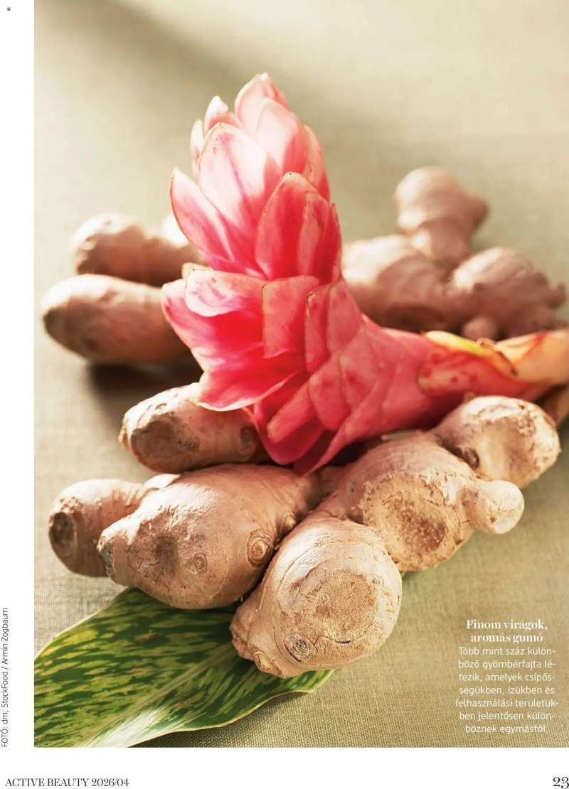 DM Drogerie Markt DM Drogerie Markt Active Beauty 2026/04 23 oldal