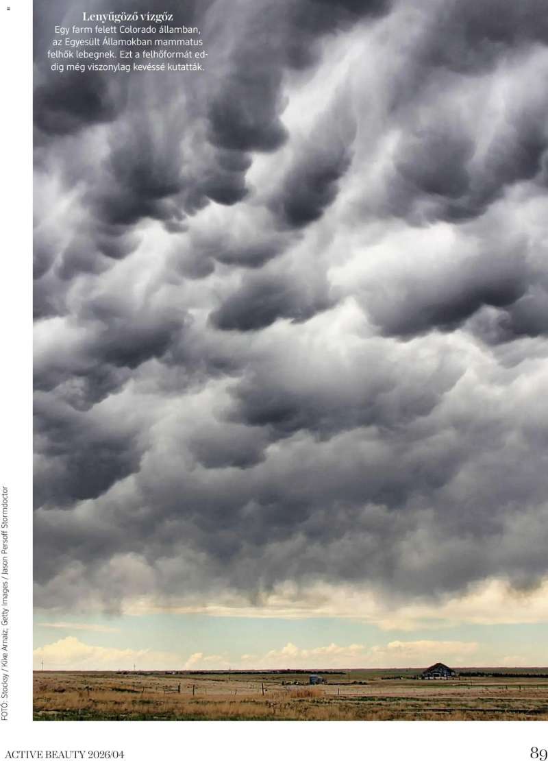 DM Drogerie Markt DM Drogerie Markt Active Beauty 2026/04 89 oldal