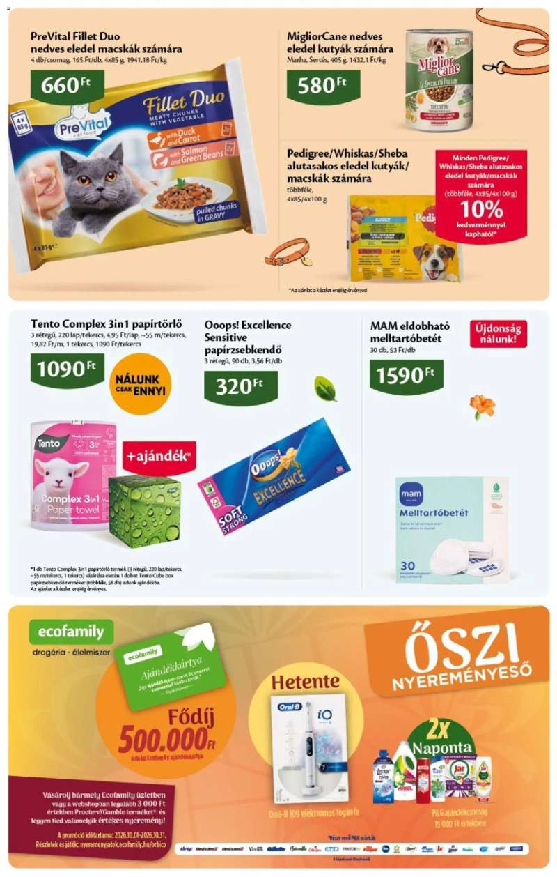 EcoFamily Ecofamily Akciós újság 19 oldal