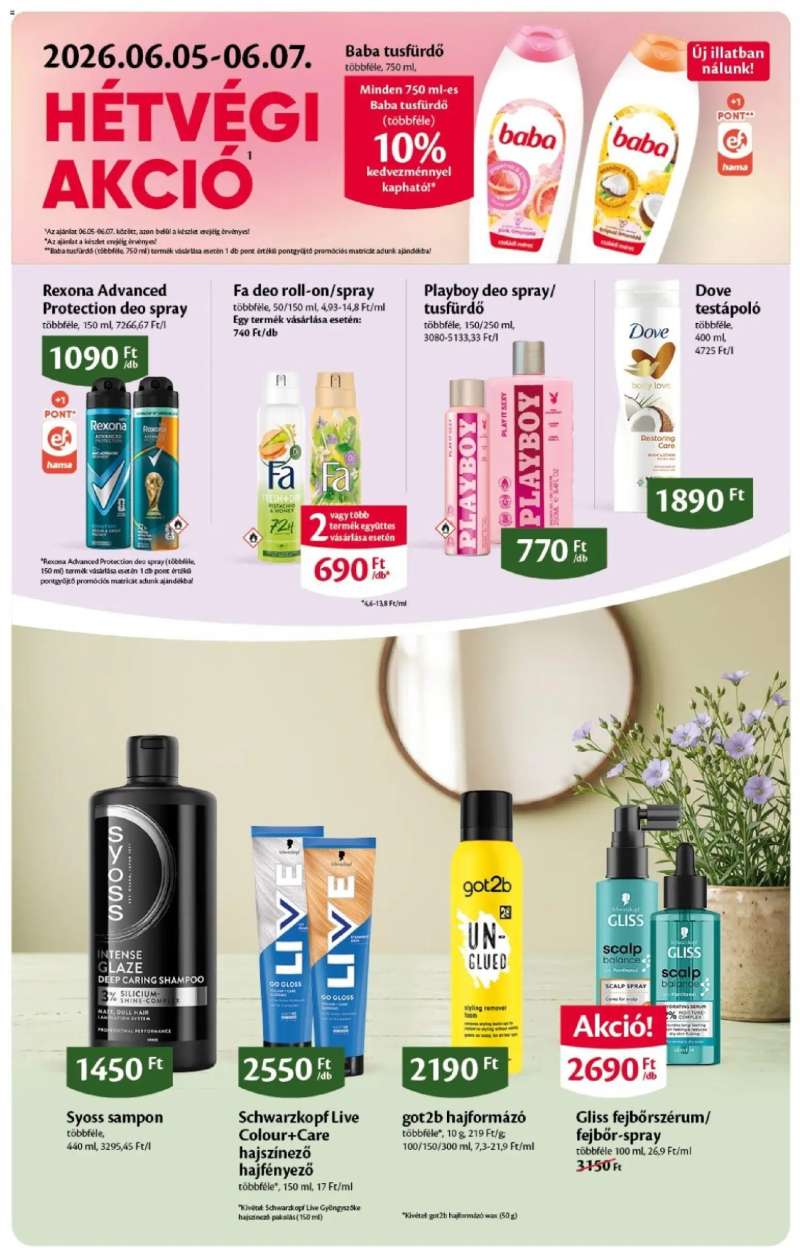 Euro Family EcoFamily akciós újság 11 oldal
