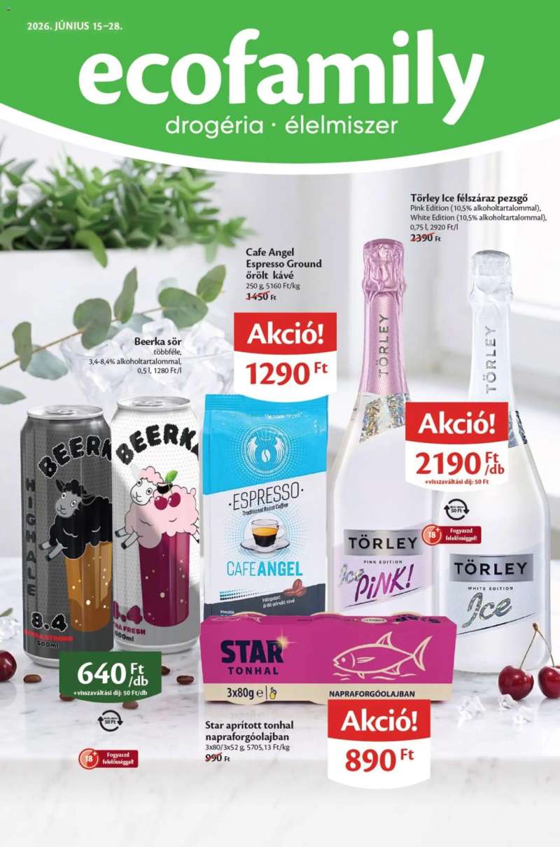 Euro Family EcoFamily akciós újság 1 oldal
