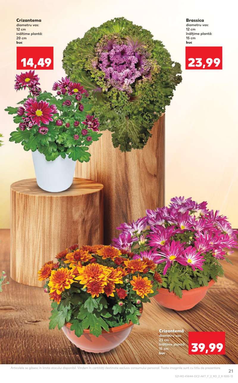 Kaufland Románia Akciós Újság 21 oldal
