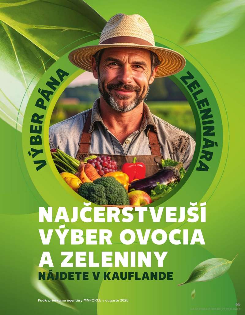 Kaufland Szlovákia Akciós Újság 65 oldal