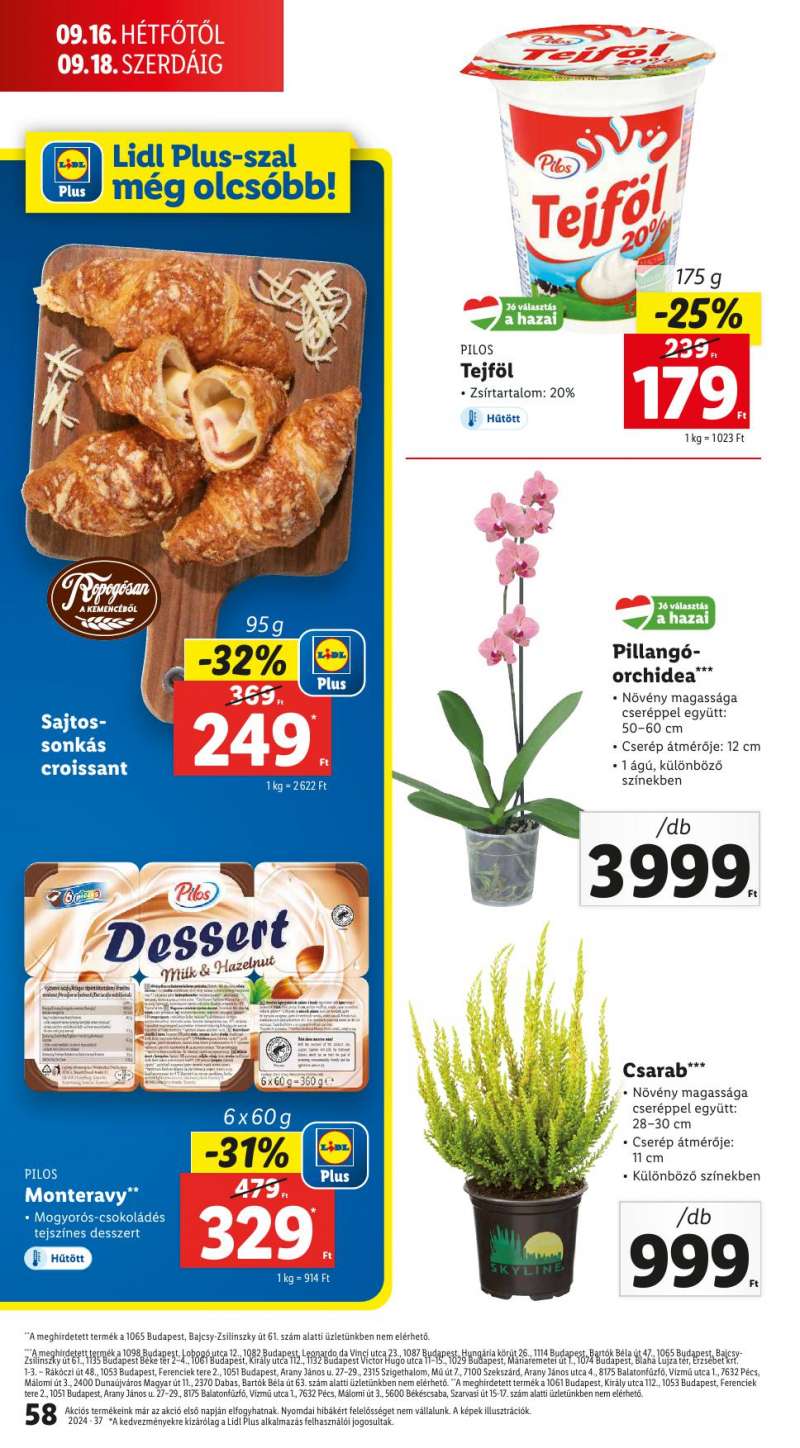 Lidl Akciós Újság 58 oldal