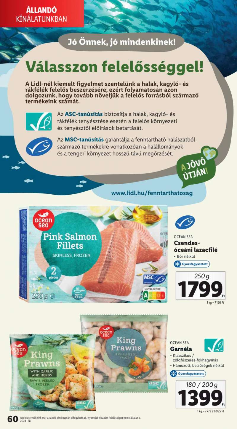 Lidl Akciós Újság 60 oldal